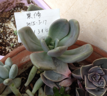 QQͼƬ20150317171251.png