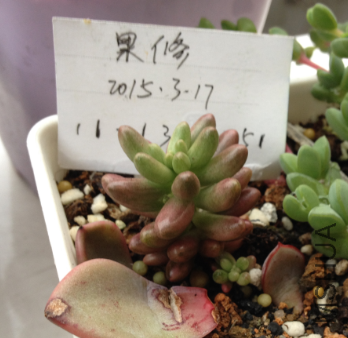 QQͼƬ20150317171248.png
