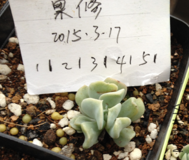 QQͼƬ20150317171237.png