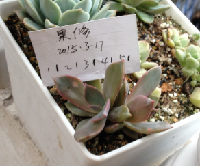 QQͼƬ20150317171234.png