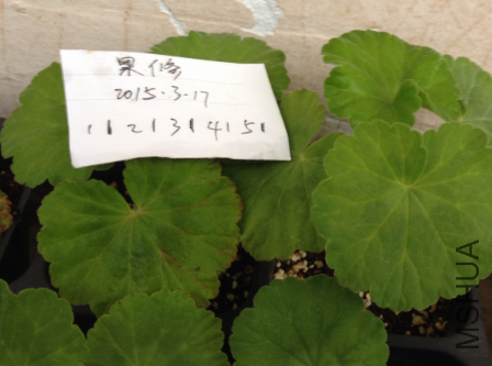 QQͼƬ20150317171219.png