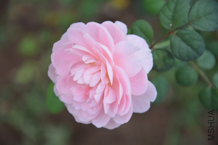 DSC_0389.JPG