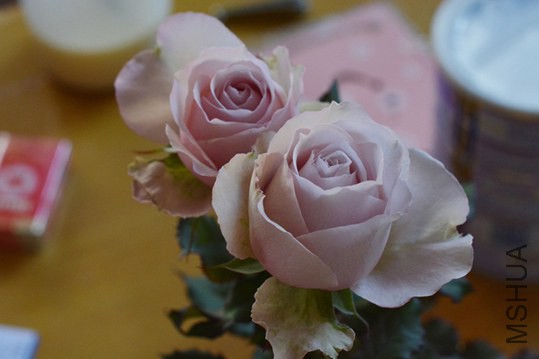 DSC_0438.JPG
