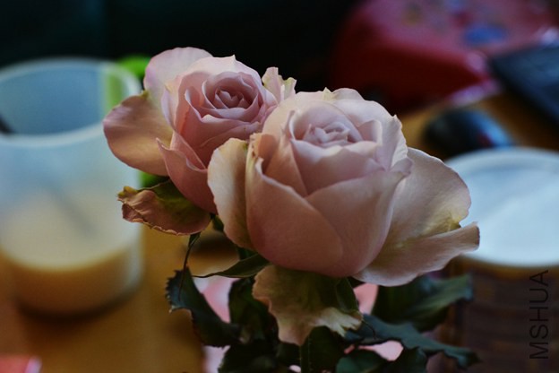 DSC_0439.JPG