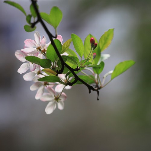 ʢ���ڵ���������  (10).JPG