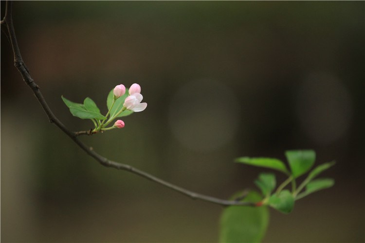 ʢ���ڵ���������  (11).JPG