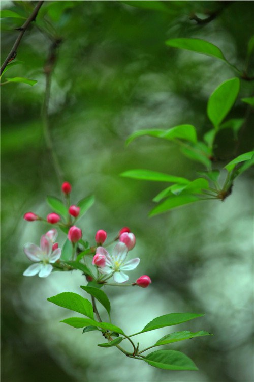 ʢ���ڵ���������  (12).JPG