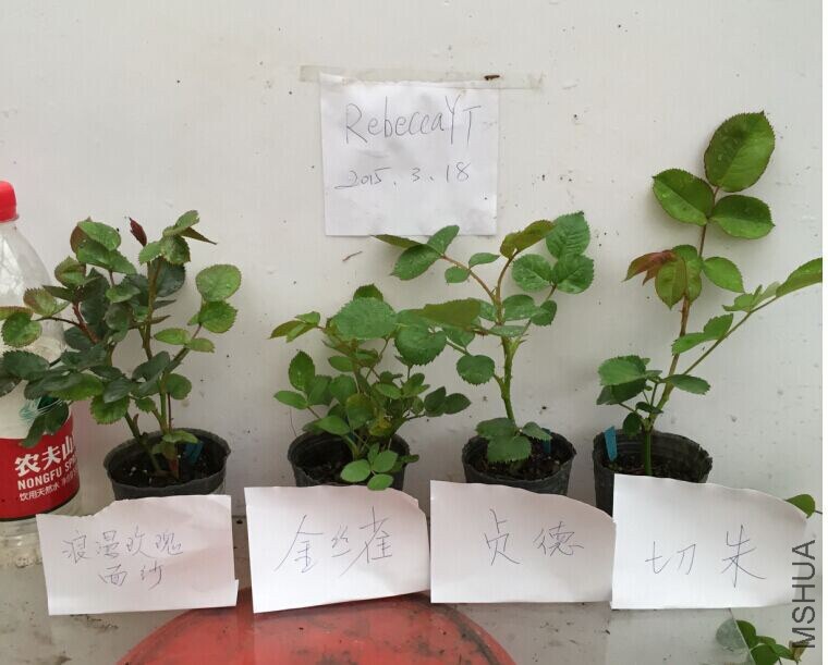 QQͼƬ20150318085335.jpg