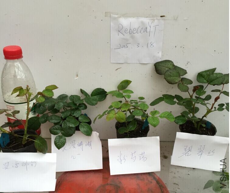 QQͼƬ20150318085326.jpg