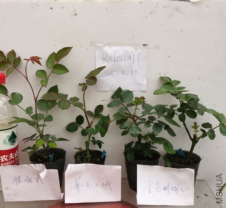 QQͼƬ20150318085358.jpg