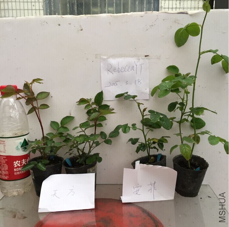 QQͼƬ20150318085406.jpg