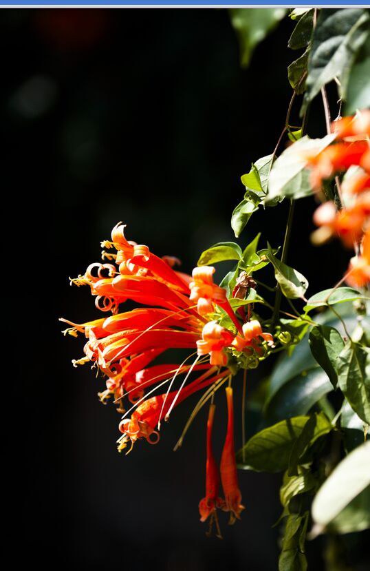 ����;�������Ļ����ݲݣ� (10).jpg