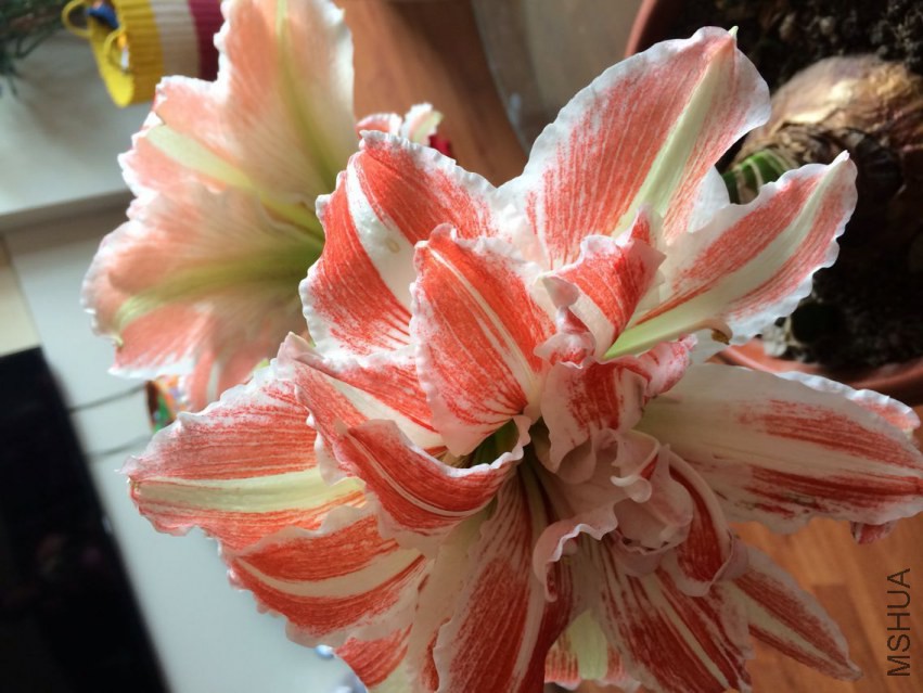 QQͼƬ20150318182613.jpg