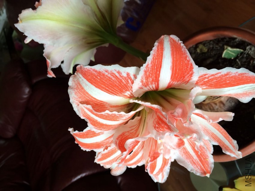 QQͼƬ20150318182624.jpg