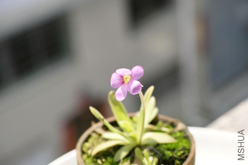 DP3M2679_����.jpg