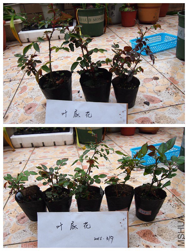 P3191002_����_����.jpg