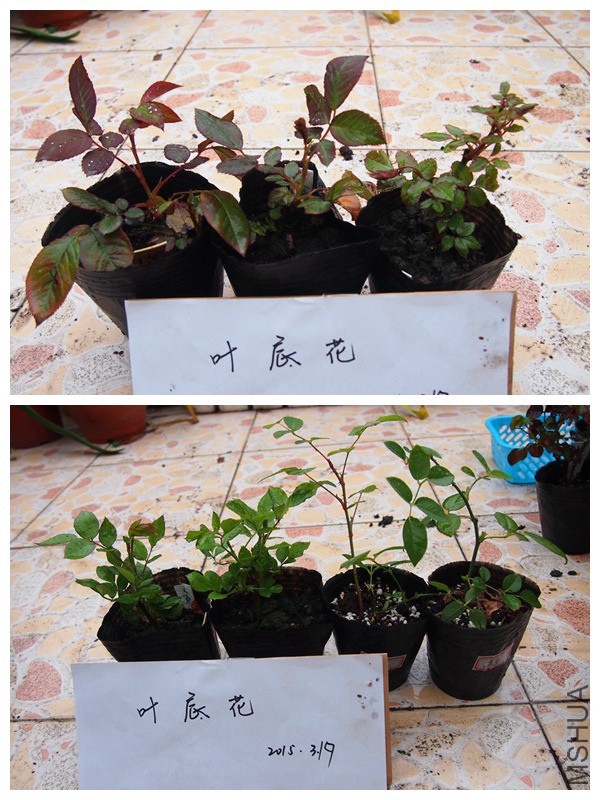 P3191002_����.jpg