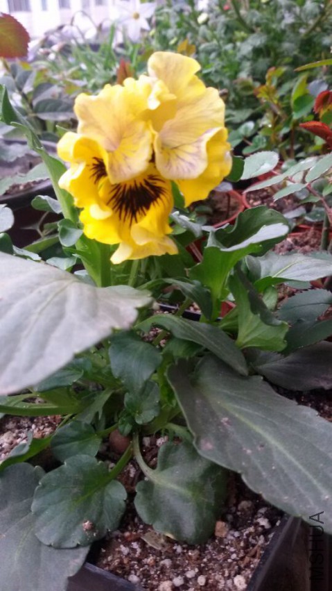 QQͼƬ20150319114334.jpg