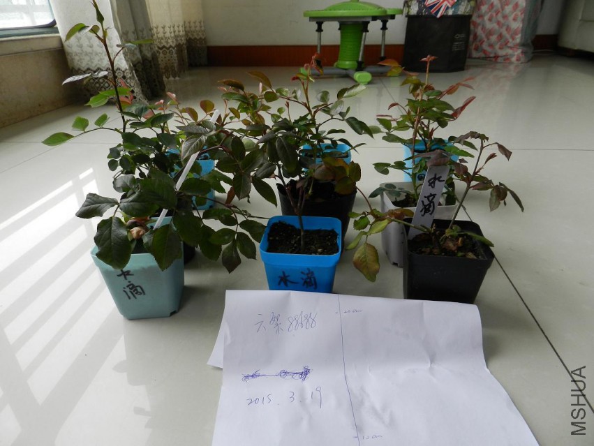 DSCN2079.jpg