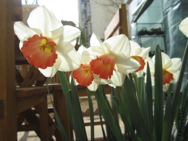 IMG_7886.JPG