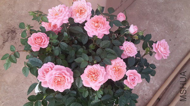 20150319_102208.jpg