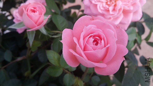 20150319_101925.jpg