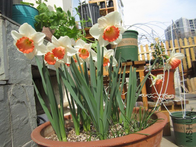 IMG_7889.JPG