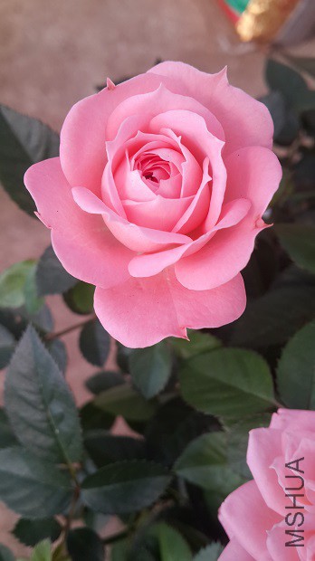 20150319_101855.jpg