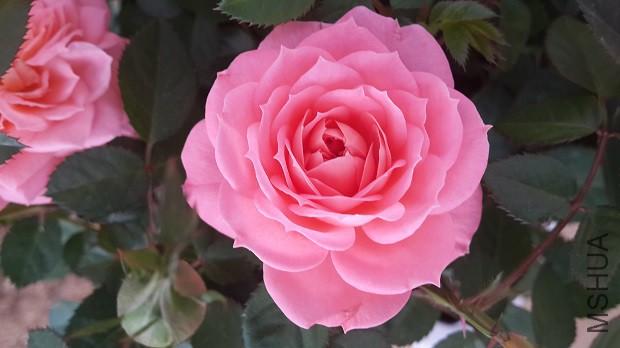 20150319_102114.jpg