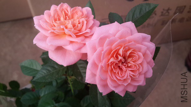 20150319_102424.jpg