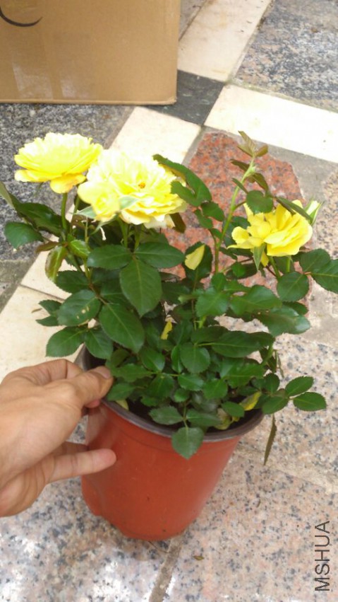9A22DB02A50A6B3315EC9F6ADA3DF0AA.jpg