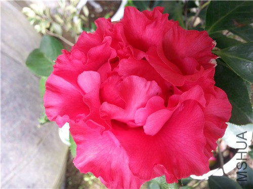 20150319_084540.jpg