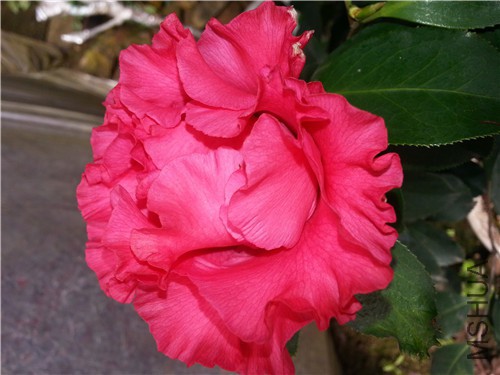 20150319_084557.jpg