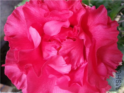 20150319_104312.jpg