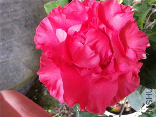 20150319_104318.jpg