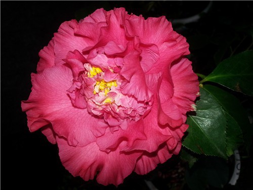 20150319_152511.jpg