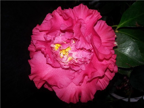 20150319_152520.jpg