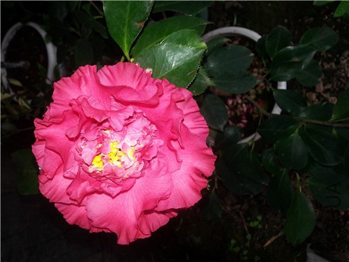 20150319_152538.jpg