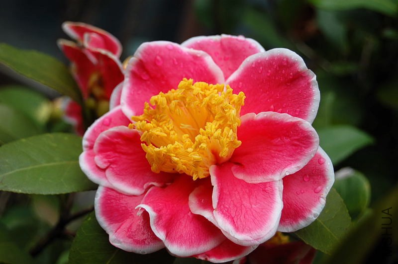 DSC_00170017.JPG