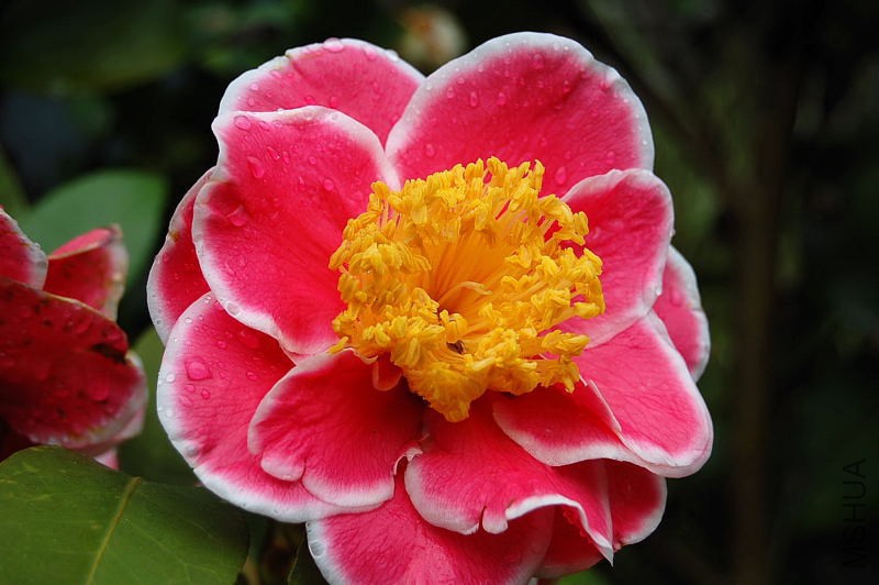 DSC_00160016.JPG