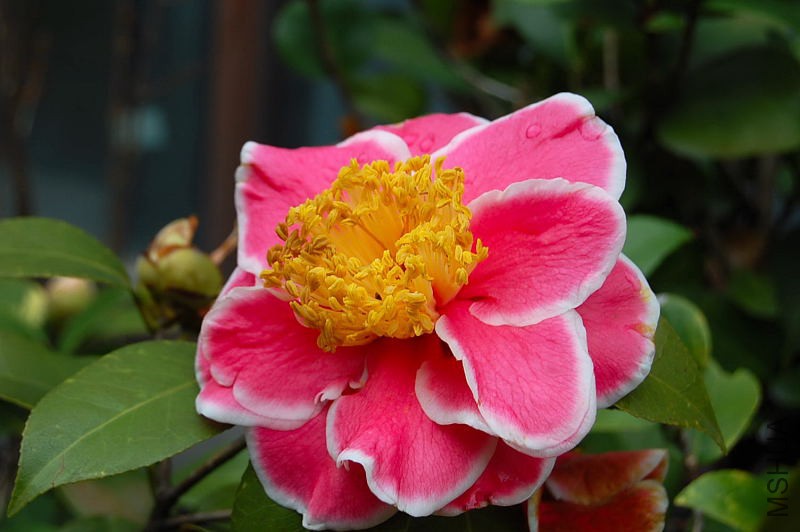 DSC_02410241.JPG