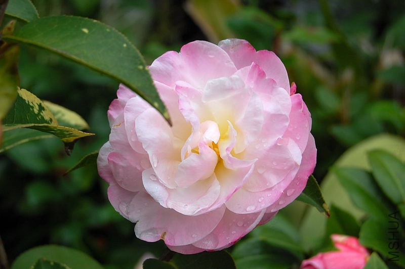 DSC_02230223.JPG