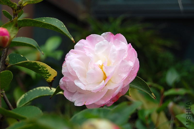 DSC_02260226.JPG