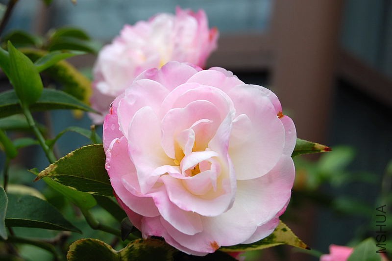 DSC_02280228.JPG
