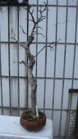 �Խڰ���1.JPG