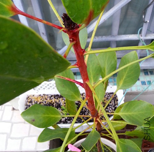 ������20150320B.jpg