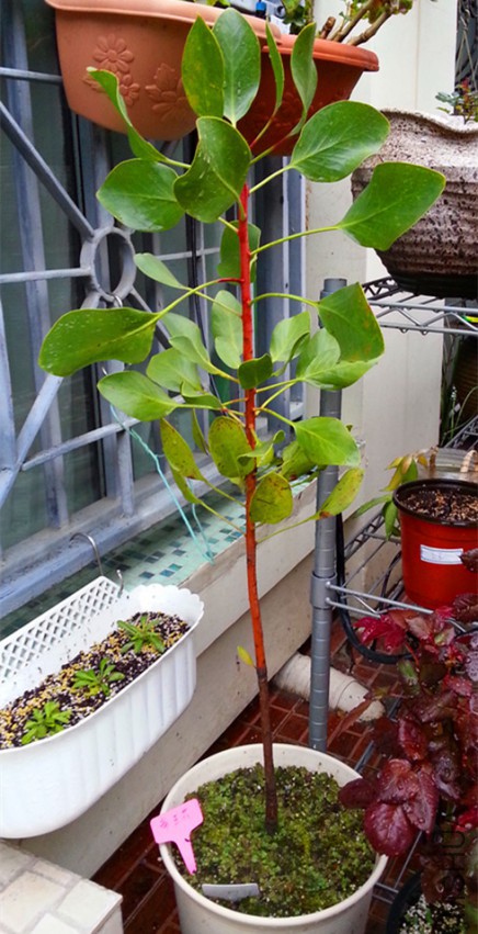 ������20150320A.jpg