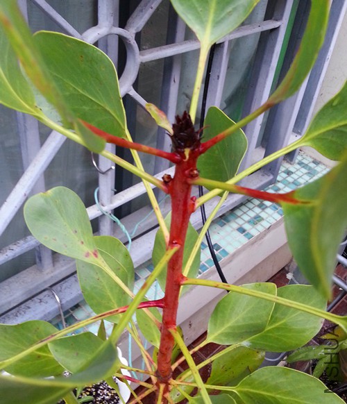 ������20150320C.jpg