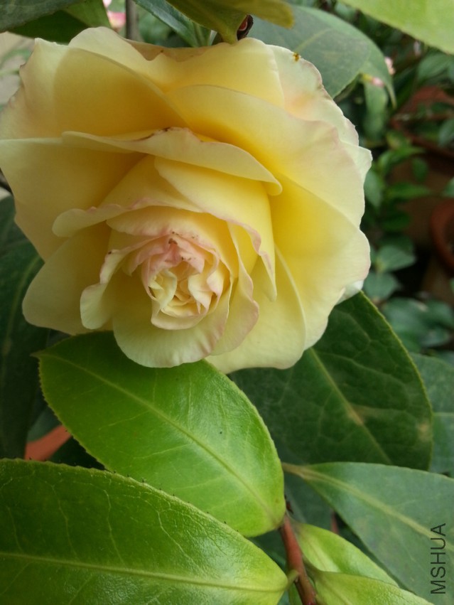 20140313_141647.jpg