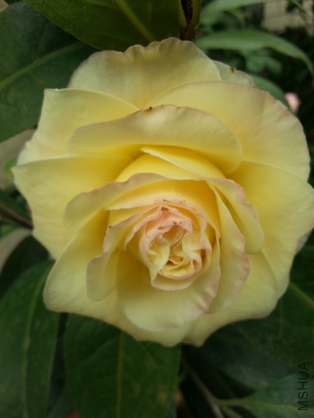 20140313_162042.jpg